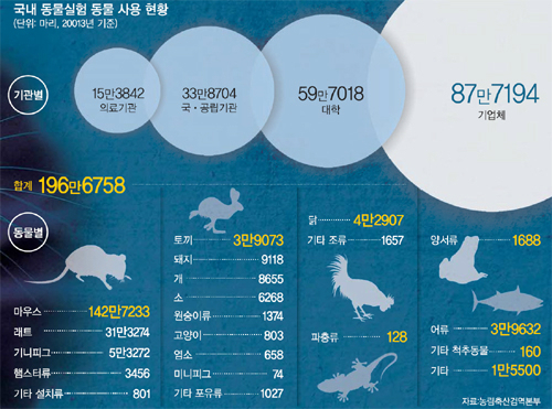 당신의 피부를 위해 오늘도 죽어갑니다 | 인스티즈