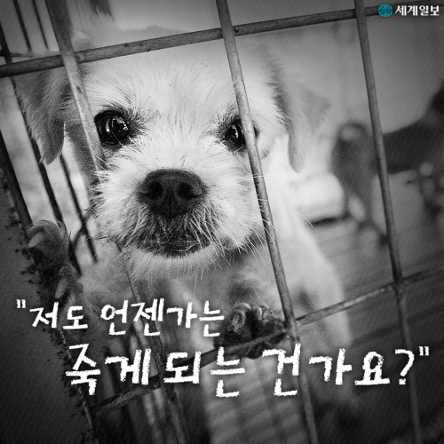 당신의 피부를 위해 오늘도 죽어갑니다 | 인스티즈