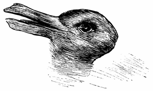 그림 토끼 귀여운 토끼