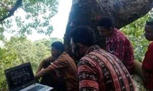 "인터넷 신호 잡아야"…오지서 나무 오르는 사람들