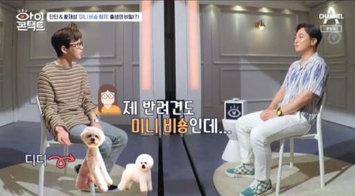 황제성 "딘딘에 보낸 미니 비숑…나중에 보니 노루 한 마리가 있더라”('아이콘택트') | 인스티즈
