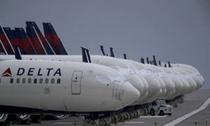 비행기 이륙 직전 강아지와 '비상탈출' 소동