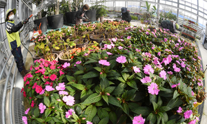 뿌리고 맺히고 피우고… 날마다 봄