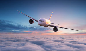 22번째 시도… 비행기 몰래 탑승에 집착하는 美 60대