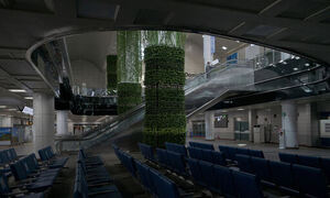 이렇게 텅 비었는데… 언제까지 ‘공항 발림’에 속으실래요