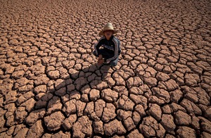 기후변화의 저주… 모로코 40년래 최악 가뭄