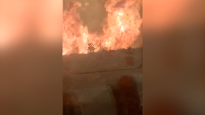 산불에 갇힌 '공포 열차'… 탈출 승객 다수 화상