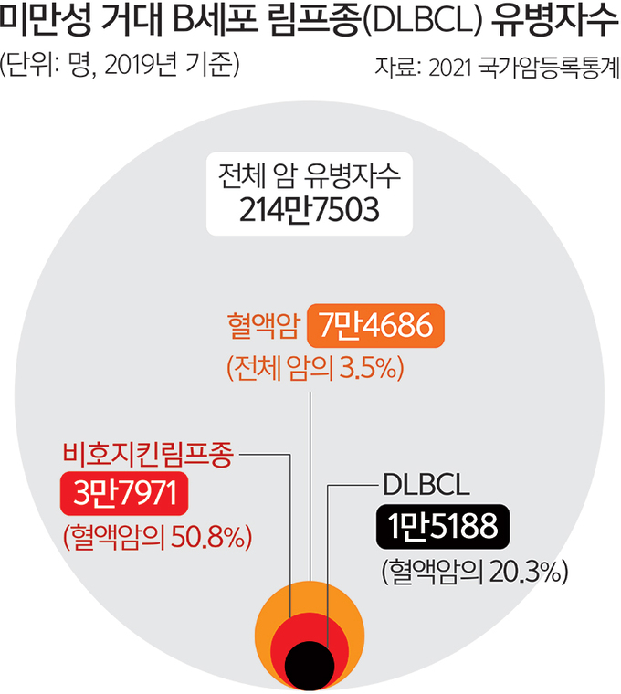 혈액암 생존율은? 면역관리가 필요한 이유! 13