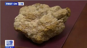 우연히 주운 돌, 무려 '3억짜리 금광석'