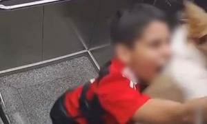 승강기에 목줄 낀 강아지…어린이가 몸 날려 구조