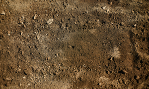 때아닌 불소 토양오염 논란