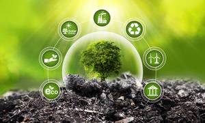 환경부, 환경영향평가 ‘비용 적정성’ 검토 추진