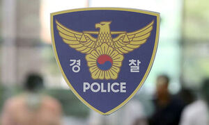 술 취해 난동 부리다 잡힌 불법체류자…도망가다 테이저건 맞고 체포돼