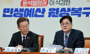 홍익표 "12월 임시국회 바로 열어 3개 국정조사 추진"