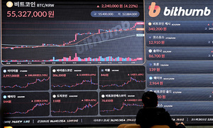 ‘가상자산 불장’ 기대감에… 사기 범죄도 급증