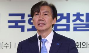 민주 '조국 수사과정 특검' 추진에…친명 "수박이냐"