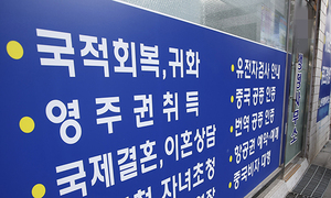 2023년 '韓 국적 회복자' 역대 두 번째로 많았던 이유
