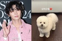 박서준, ‘김수현 저격' 불똥에도 타격 無…&${esc.h}34;내 새끼♥&${esc.h}34; 평온 일상