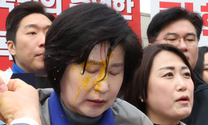 헌재 앞 계란투척까지…갈수록 과격해지는 장외투쟁