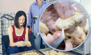 닭 깃털 뽑아 3900만원?…ASMR로 매출 올린 中 식당