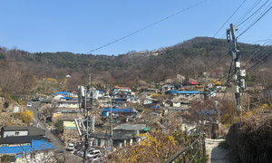 [단독] 투기 바람 따라 쪼개진 개미마을