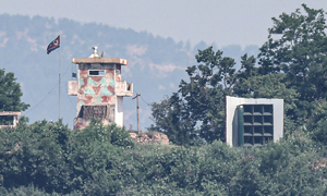 MDL 수풀에 숨어있던 北민간인 1명 신병확보
