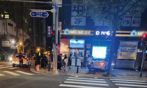 "호기심에 운전"…무면허 음주운전하다 사고 낸 20대 여성