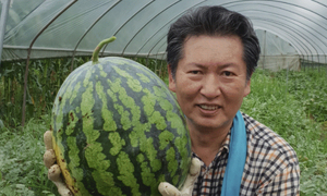 '수박' 비난에 '왕수박'으로 응수한 정청래