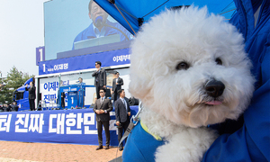 '반려동물 공약' 2017년 본격 등장… 표준수가제 등 숙제