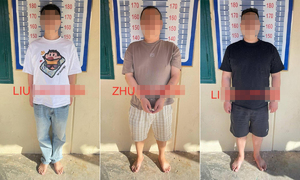 “‘캄보디아 범죄’ 주범은 돈 내고 귀화한 중국인 범죄 일당”