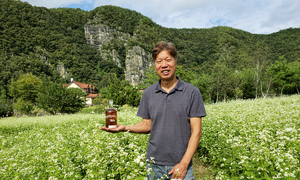 술 익는 안동 산골마을 전통주 장인 된 IT기업가