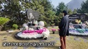 최진실 묘 찾은 홍진경 &${esc.h}34;언니가 사람이 너무 좋았다&${esc.h}34;