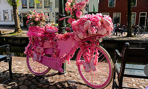 꽃집서 1시간 일하고 100만원! 역대급 아르바이트의 정체