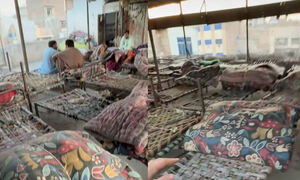 1박에 350원, '세계에서 가장 저렴한 숙소'에 쏟아진 호평 왜?