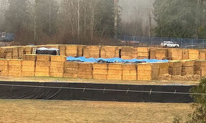 총성과 함께 쓰러진 300마리 타조…무슨 일?