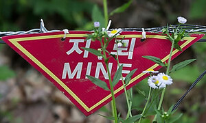 파주 DMZ서 폭발 사고…육군 부사관 1명 부상