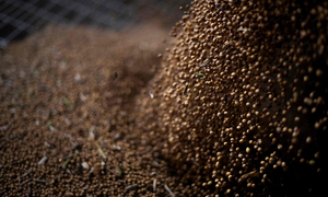미·중 무역전쟁 핵심 놓인 대두, 중국 식량안보 전략의 ‘리트머스 시험지’ 됐다 [차이나우]