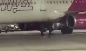 “우리 아직 못 탔어!”…비행기 놓치자 활주로 뛰어든 남자들 ‘아찔’