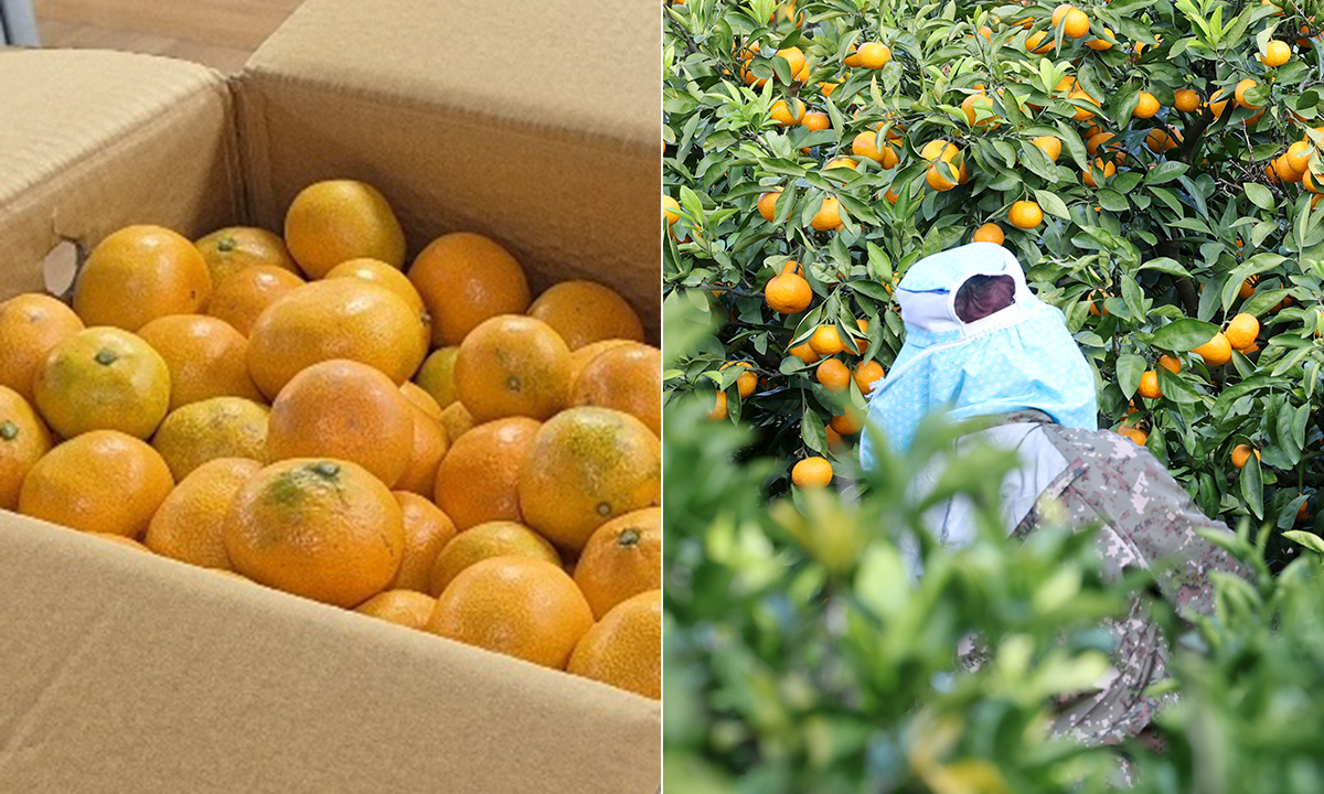 츮 絵 ߴ١Ϸħ  3 , ּ  ? [̰ ȭ]