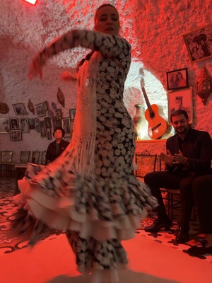 이은진의 ‘에스파냐 이야기’ (41회) 코르도바 : 안달루시아의 심장