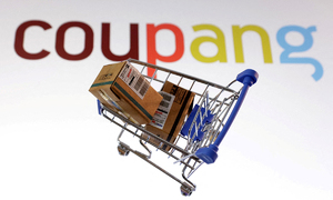 개인정보 배상보험 대부분 ‘법정 최소액’…쿠팡도 10억원 그쳐