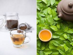 “건강에 좋다고 믿었는데”…우리가 매일 마시던 ‘이 음료’의 배신?