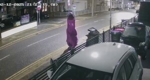 '공룡 옷' 입고 쓰레기 투기…황당 장면 찍혔다