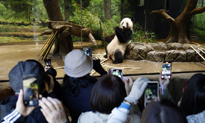 $esc.velocity($!{article.viewTitle.replaceAll('