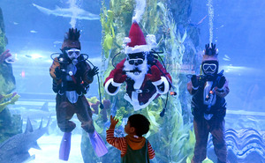 ‘눈 속’ 산타 말고 ‘물속’ 산타 [한강로 사진관]