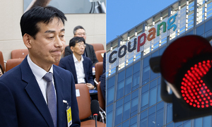 솜방망이 처벌이 키운 보안불감증… 선진국 수준 과징금 나오나 [전방위 압박 받는 쿠팡]