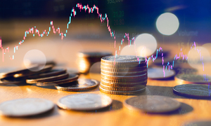 금감원 퇴직자들 재취업 ‘로펌’↓ ‘가상자산 ’↑