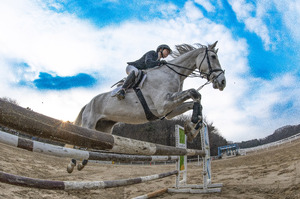 격랑의 시간 지나 … 병오년, 힘찬 질주