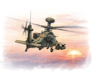  아파치 공격헬기 철수