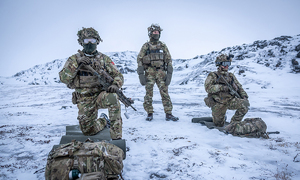 무역전쟁 번진 그린란드 갈등… 美, 군사동맹 철회 카드 꺼내나